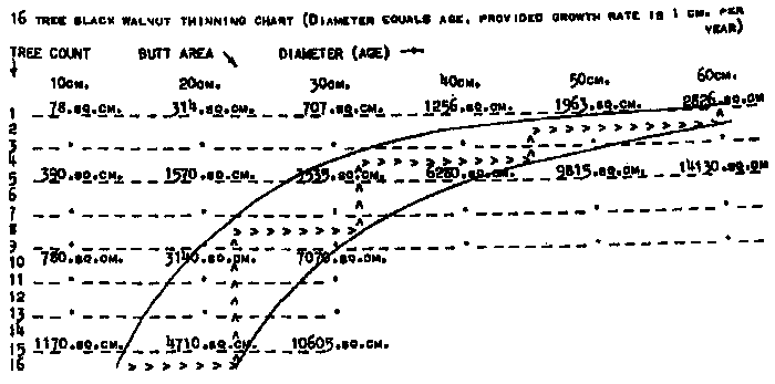 thinning walnut